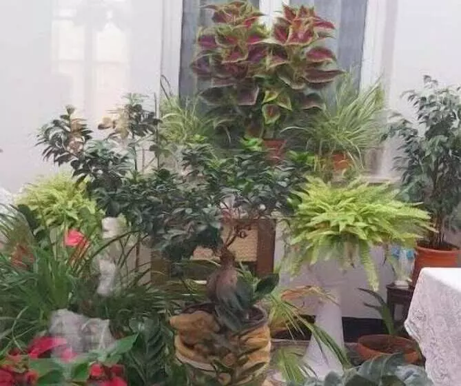 ペンション Palazzo Al Carmine Dimora Storica