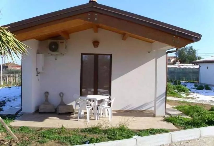 ベッドアンドブレックファースト Agriturismo Il Grappolo