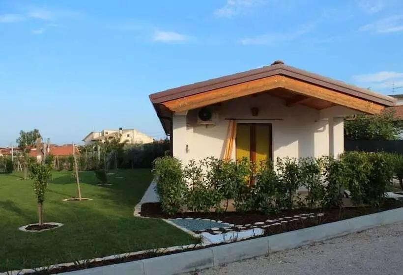 ベッドアンドブレックファースト Agriturismo Il Grappolo