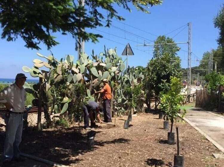 Bed and Breakfast Le Case Del Parco