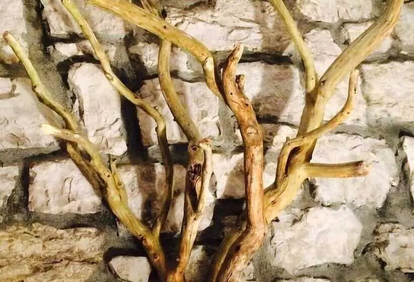 Aamiaismajoitus (B&B) Nido Del Nibbio