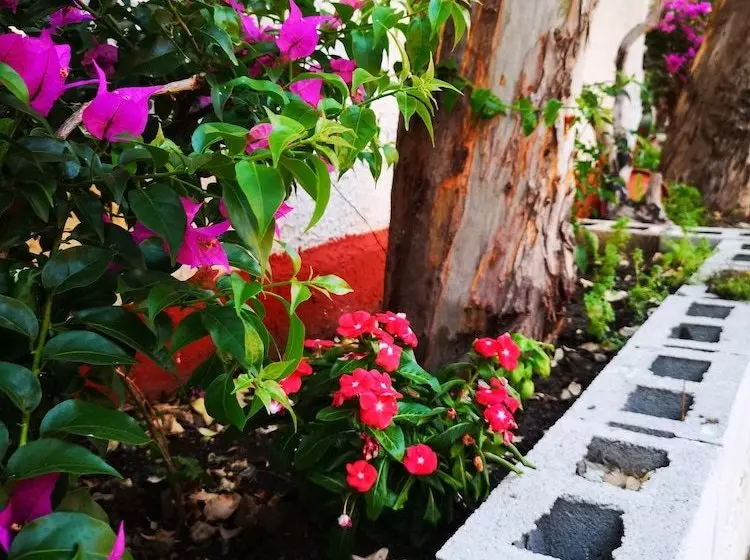Camping Gioiosa B&b