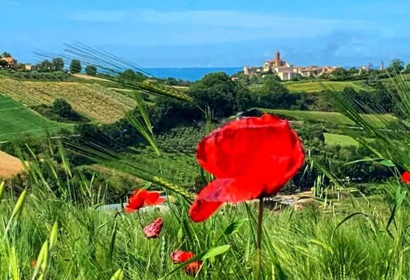 Chiaraluce Country House