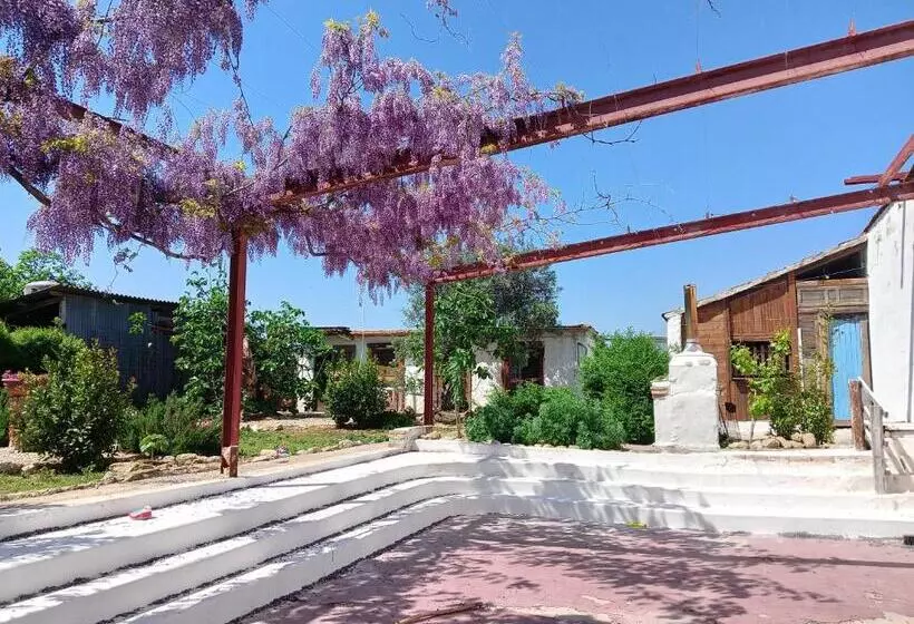 Il Secolo Breve B&b