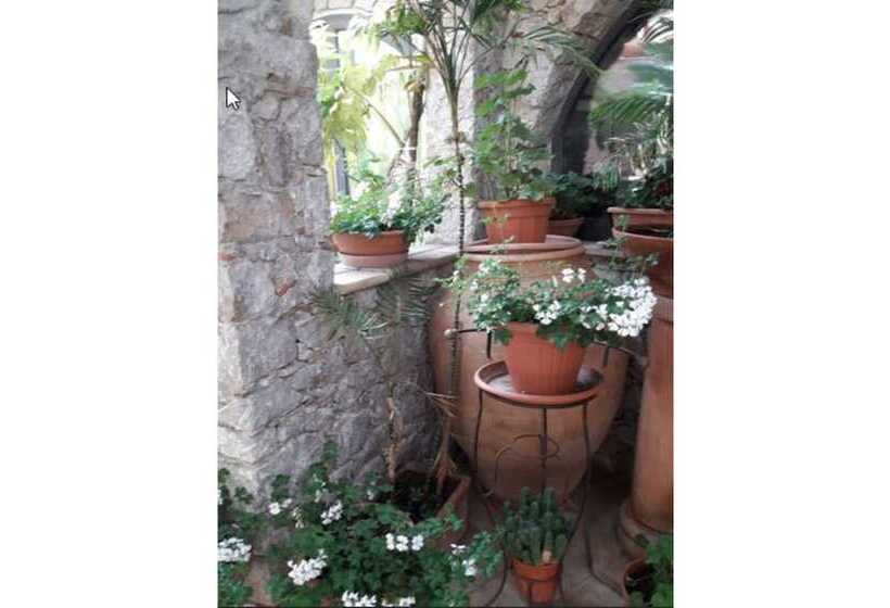 酒店 Andromaco Palace