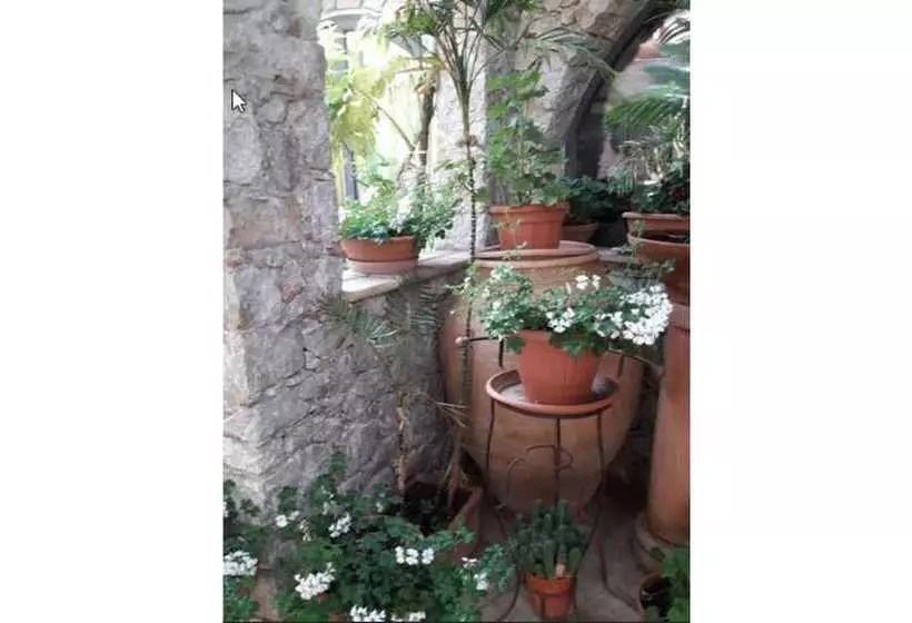 Hotel Andromaco Palace