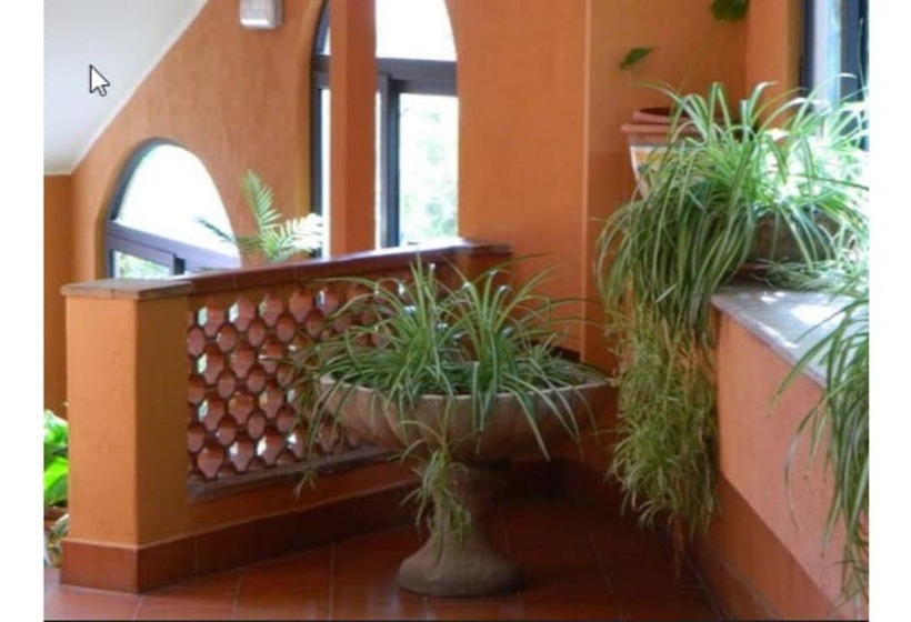 酒店 Andromaco Palace