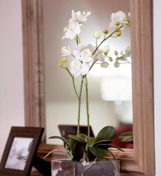 هتل Hacienda Montenmedio