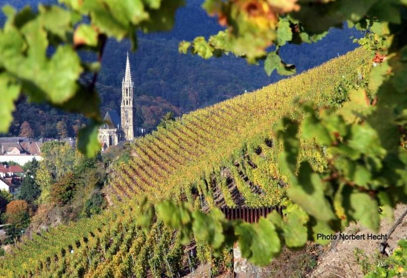 Отель Hôtel Du Rangen