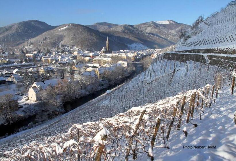 Отель Hôtel Du Rangen