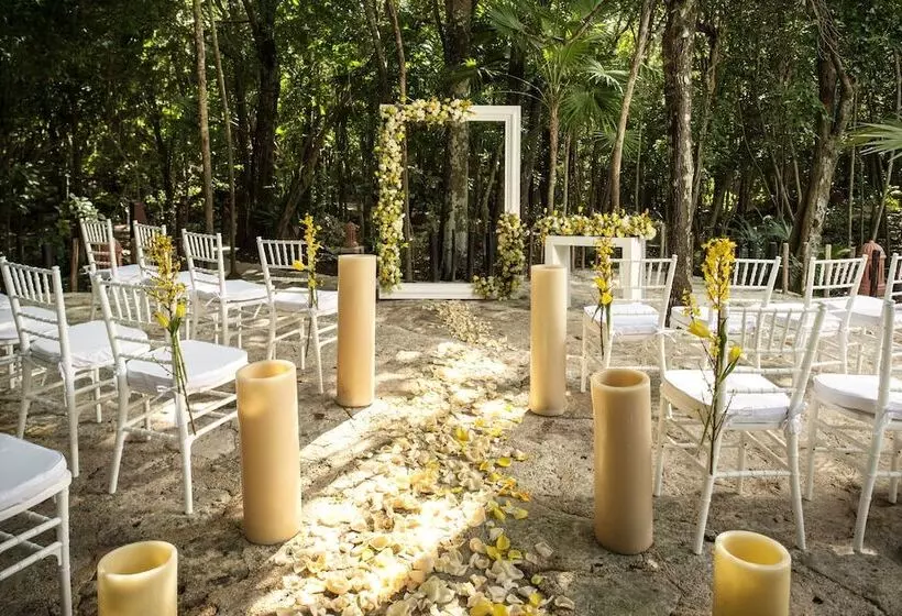 בית מלון כפרי Iberostar Waves Quetzal