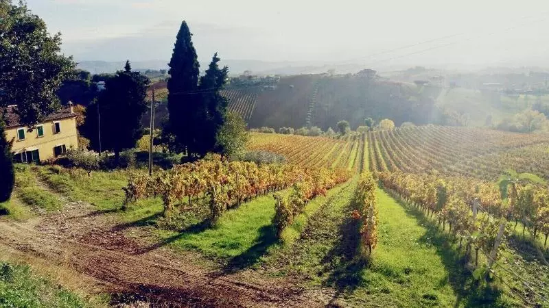 B&b Santa Caterina
