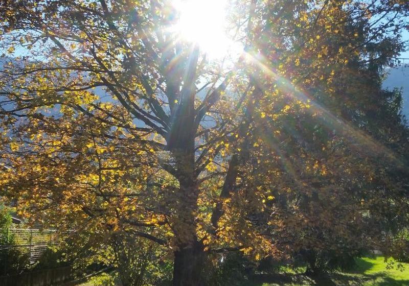 צימר Foresteria Villa Simona