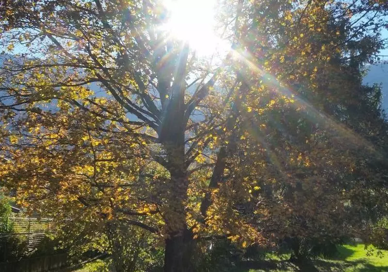 ベッドアンドブレックファースト Foresteria Villa Simona