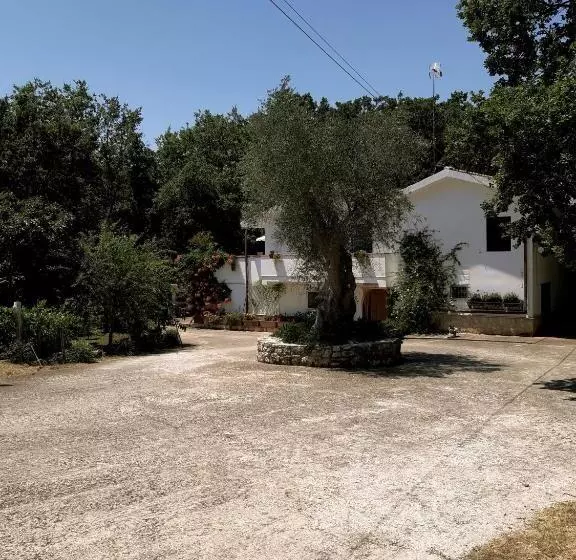 ベッドアンドブレックファースト Agriturismo Parcodainonni