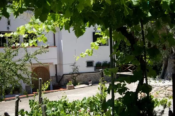 ベッドアンドブレックファースト Agriturismo Parcodainonni