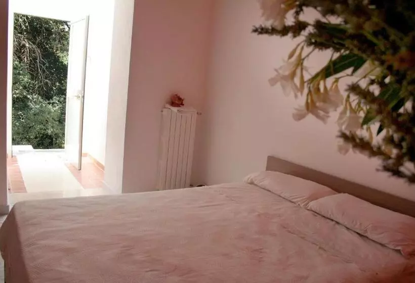 ベッドアンドブレックファースト Agriturismo Parcodainonni