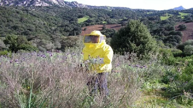 ベッドアンドブレックファースト Stazzu La Capretta Farm Camping & Guest Rooms