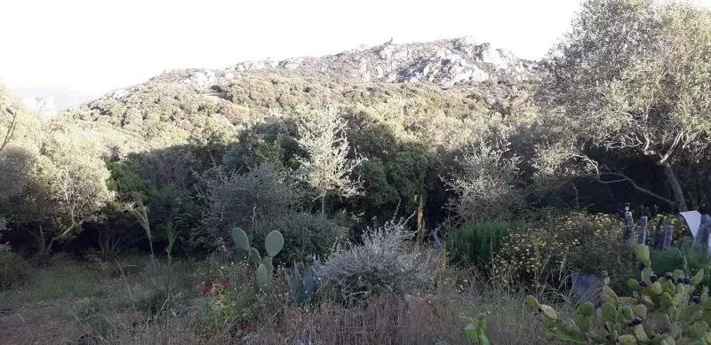 ベッドアンドブレックファースト Stazzu La Capretta Farm Camping & Guest Rooms