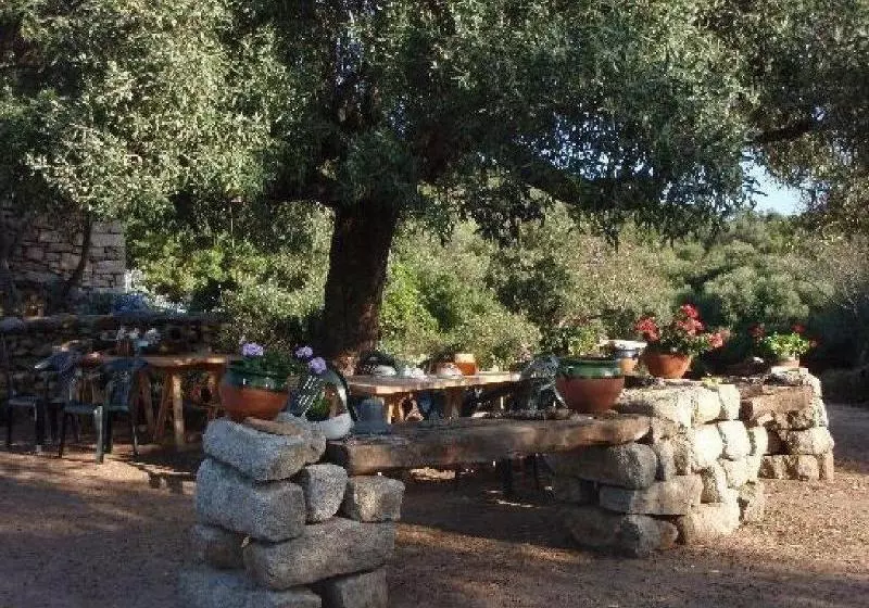 ベッドアンドブレックファースト Stazzu La Capretta Farm Camping & Guest Rooms