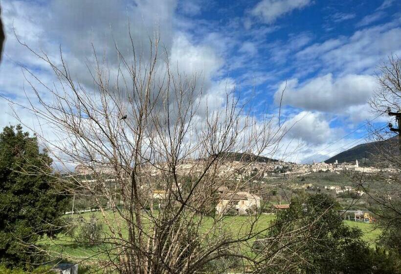 פנסיון Camere Rosignoli