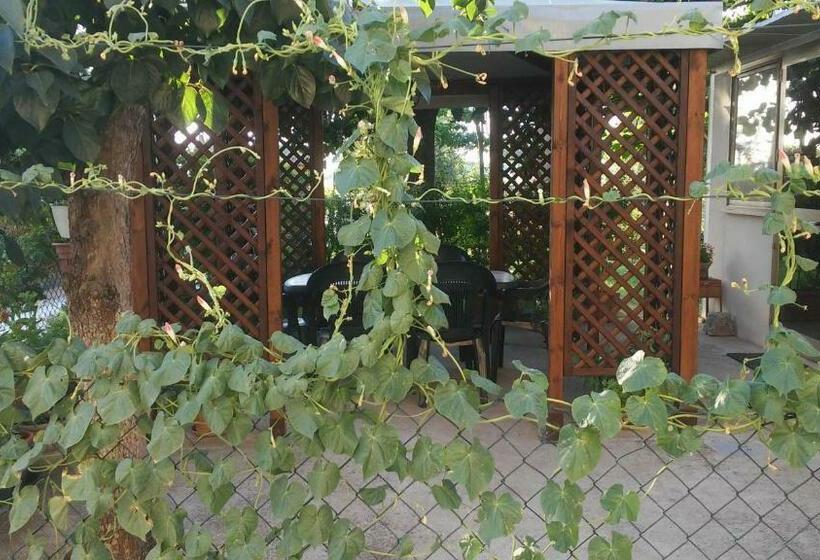 פנסיון Camere Rosignoli