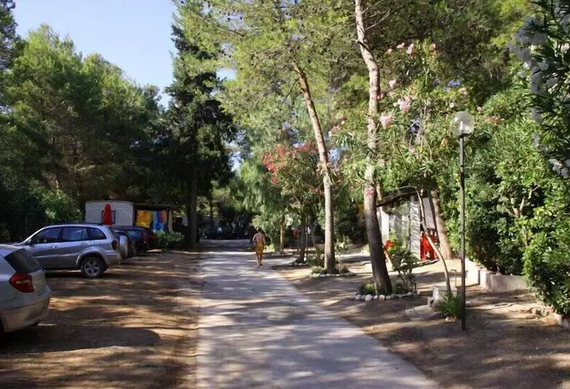 Hotelli Baia Calenella