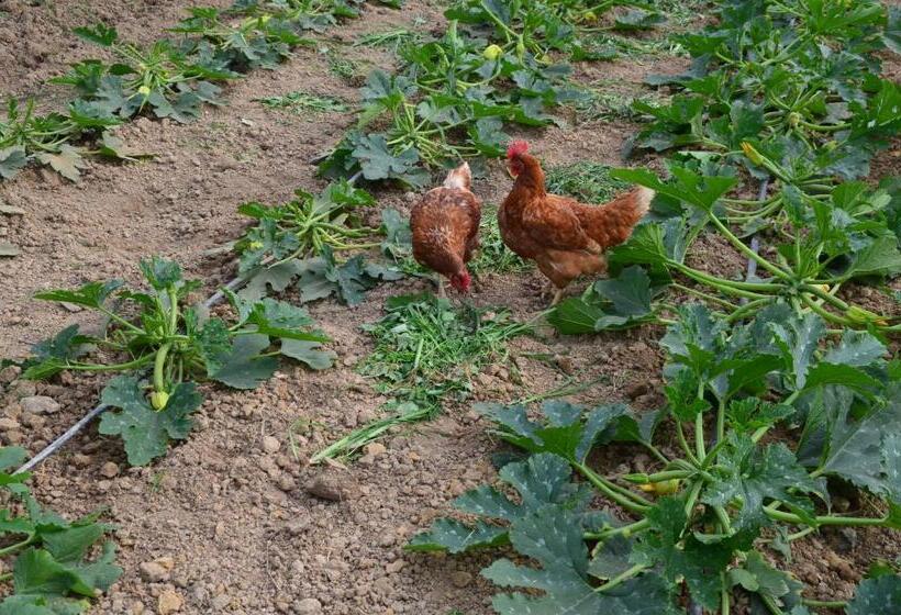 هتل روستایی Agriturismo Al Podere Di Rosa