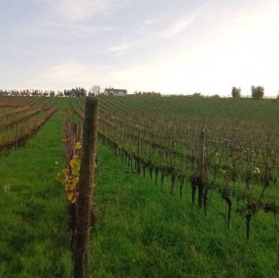 فندق ريفى I Tre Filari