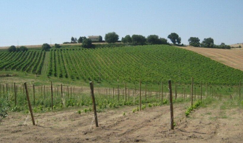 فندق ريفى I Tre Filari