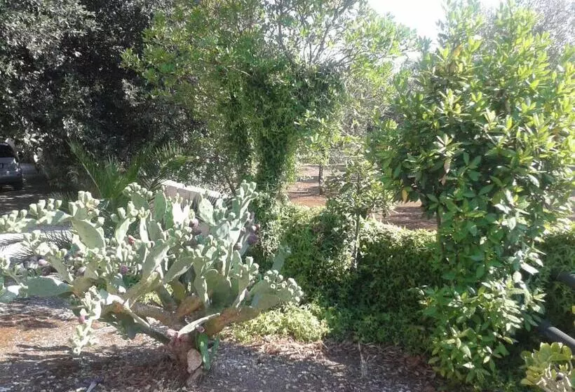 ペンション Tenuta La Spezia