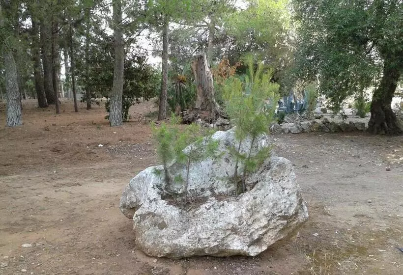 ペンション Tenuta La Spezia