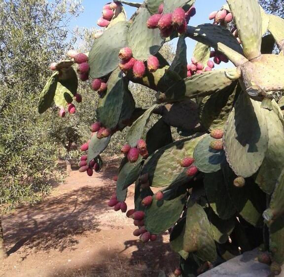 Majatalo Tenuta La Spezia