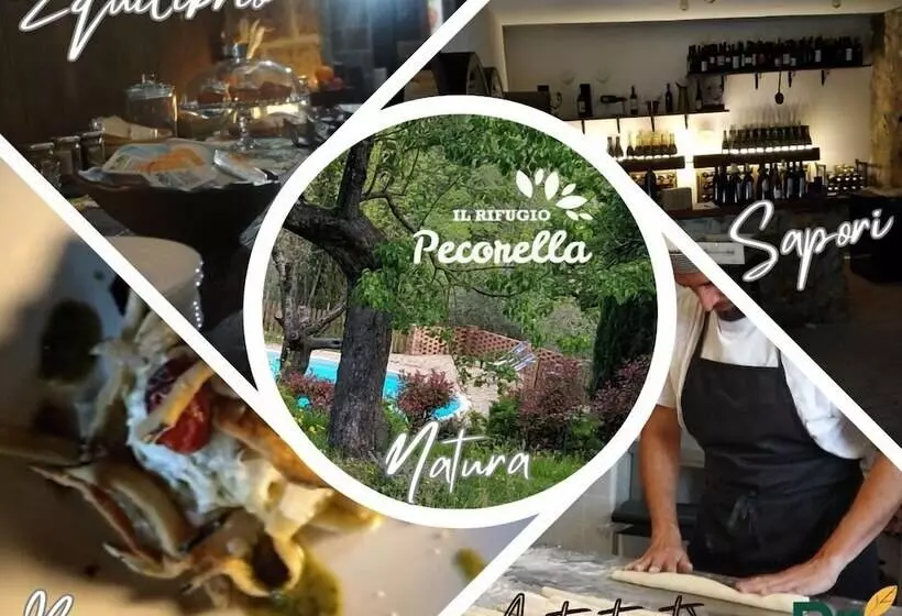 Aamiaismajoitus (B&B) Il Rifugio Pecorella   Pura Smartvegfarmhouse