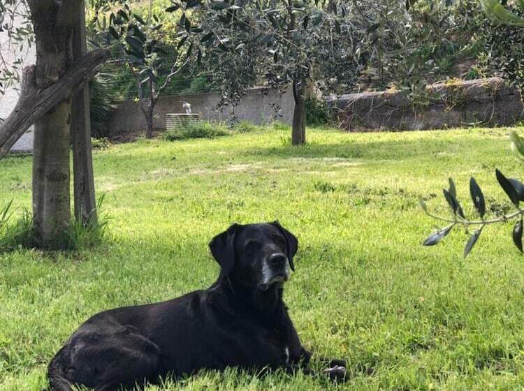 Bed And Breakfast Ca Du 5