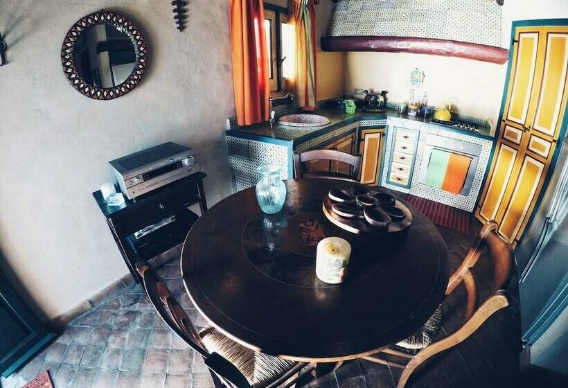 Pension (Hôtel basse catégorie) Terrazza Efesto