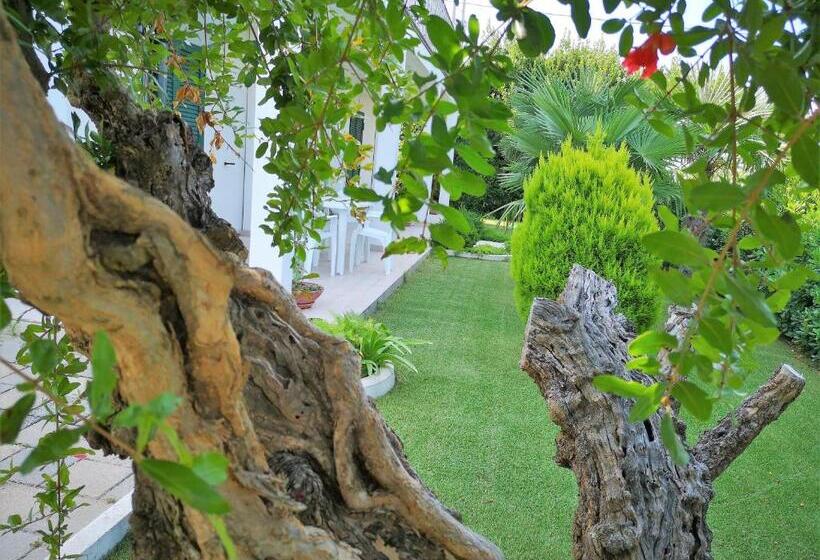 B&b Dimora Rossipinti