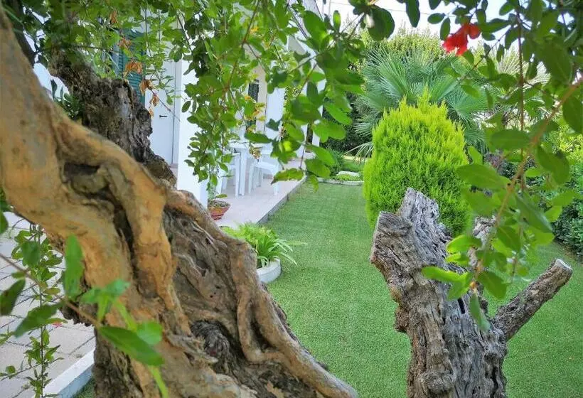 B&b Dimora Rossipinti