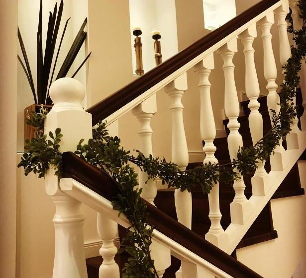 Bed & Breakfast Edera E Camelie