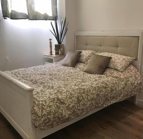 Bed & Breakfast Edera E Camelie