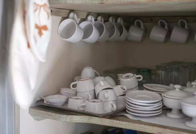Bed and Breakfast Regina Di Ulivi