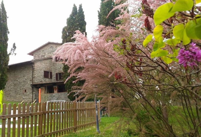 乡村酒店 Agriturismo Calcinaia Sul Lago