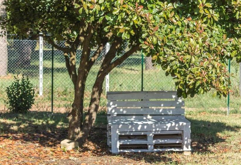 Il Profumo Della Natura B&b