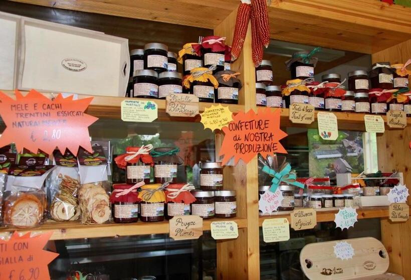 B&b Dalla Fattoria Della Patty