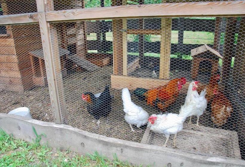 B&b Dalla Fattoria Della Patty