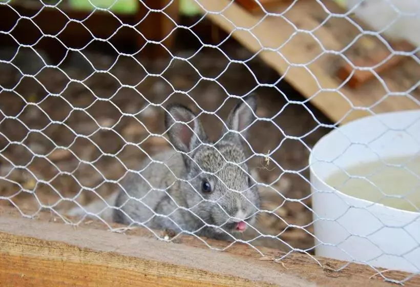 B&b Dalla Fattoria Della Patty