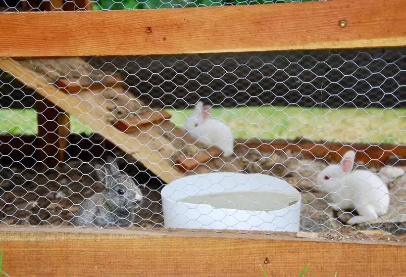 B&b Dalla Fattoria Della Patty