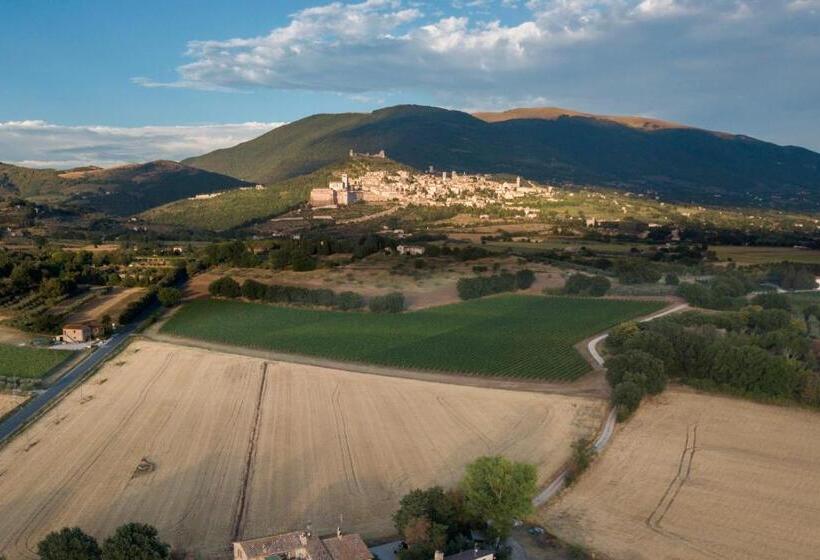 צימר Camere I Monelli