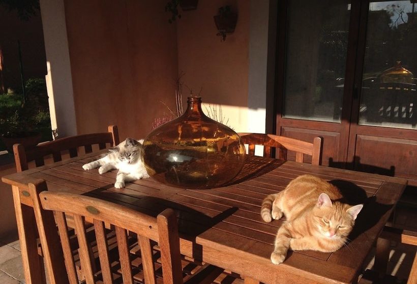 Bed and Breakfast Casa De  Trinci