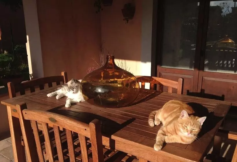 Aamiaismajoitus (B&B) Casa De  Trinci